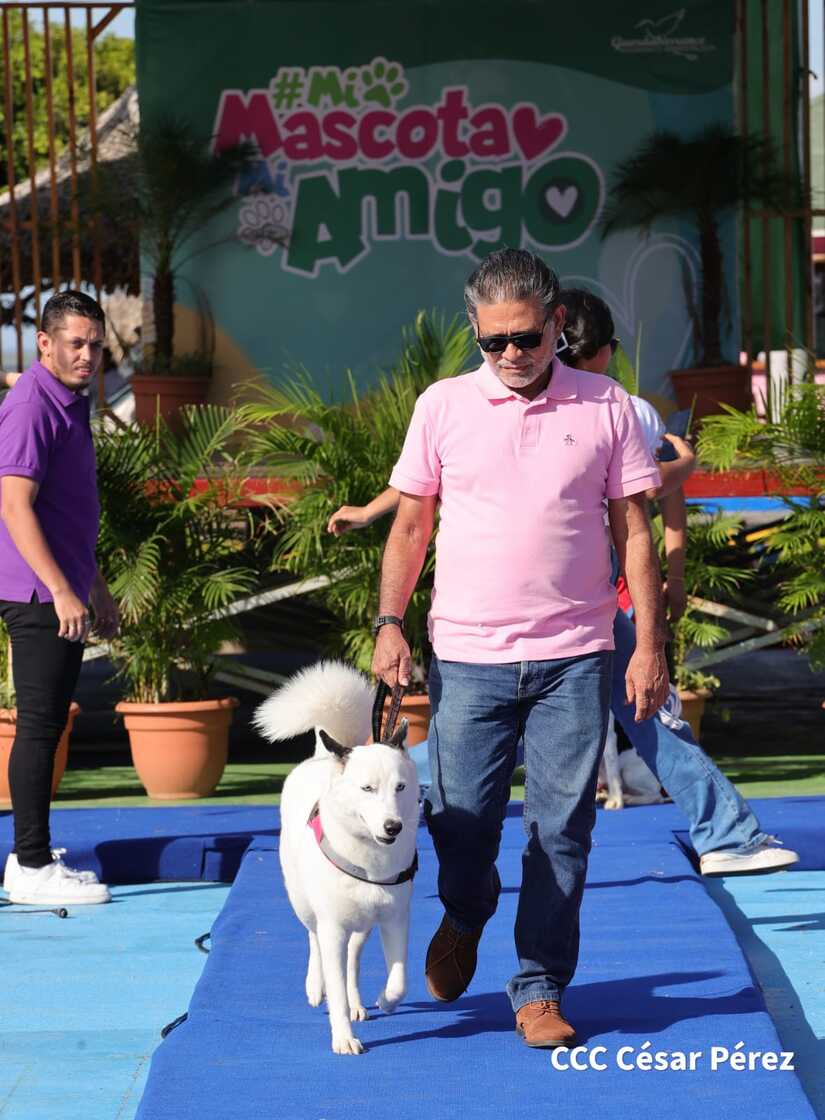 MASCOTA